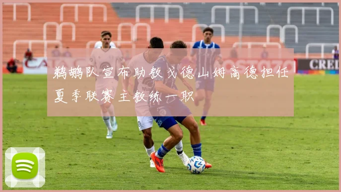 鹈鹕队宣布助教戈德山姆高德担任夏季联赛主教练一职